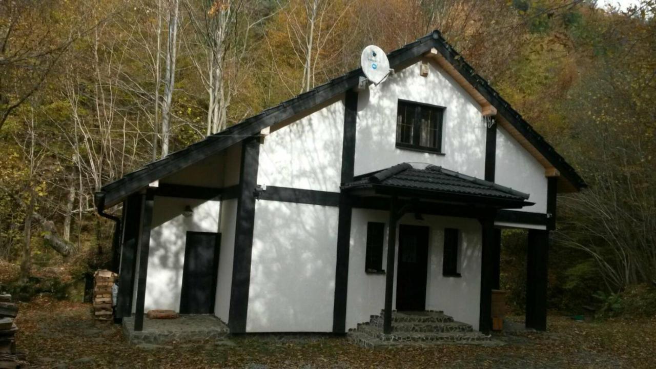 Cabana Crenguta Hermannstadt Exterior foto