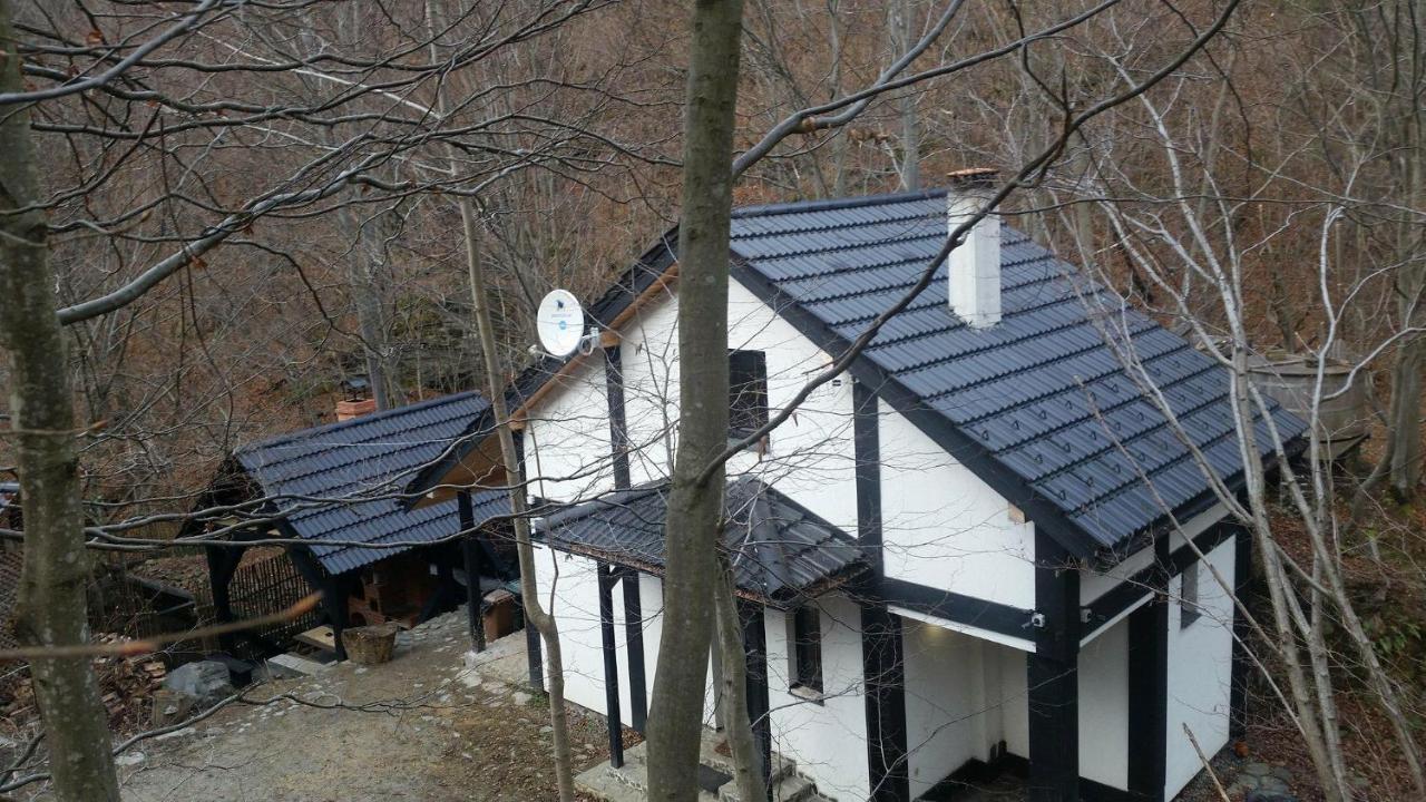 Cabana Crenguta Hermannstadt Exterior foto